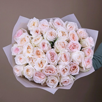 Вайт Охара пионовидные розы