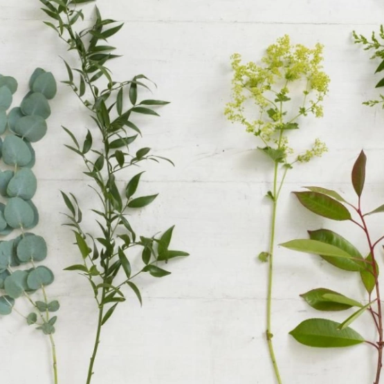 Зелень сезонная