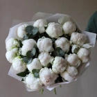 19 пионов