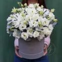 19 эустом