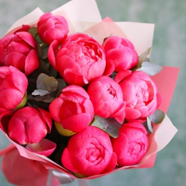 Коралловые пионы