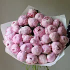 29 пионов
