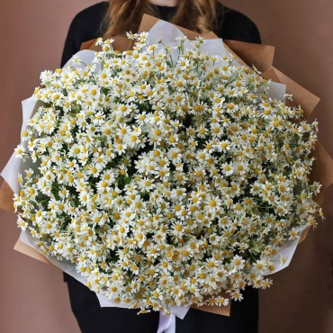 Букет из кустовых ромашек