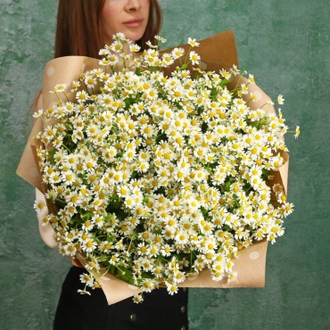 Букет из кустовых ромашек
