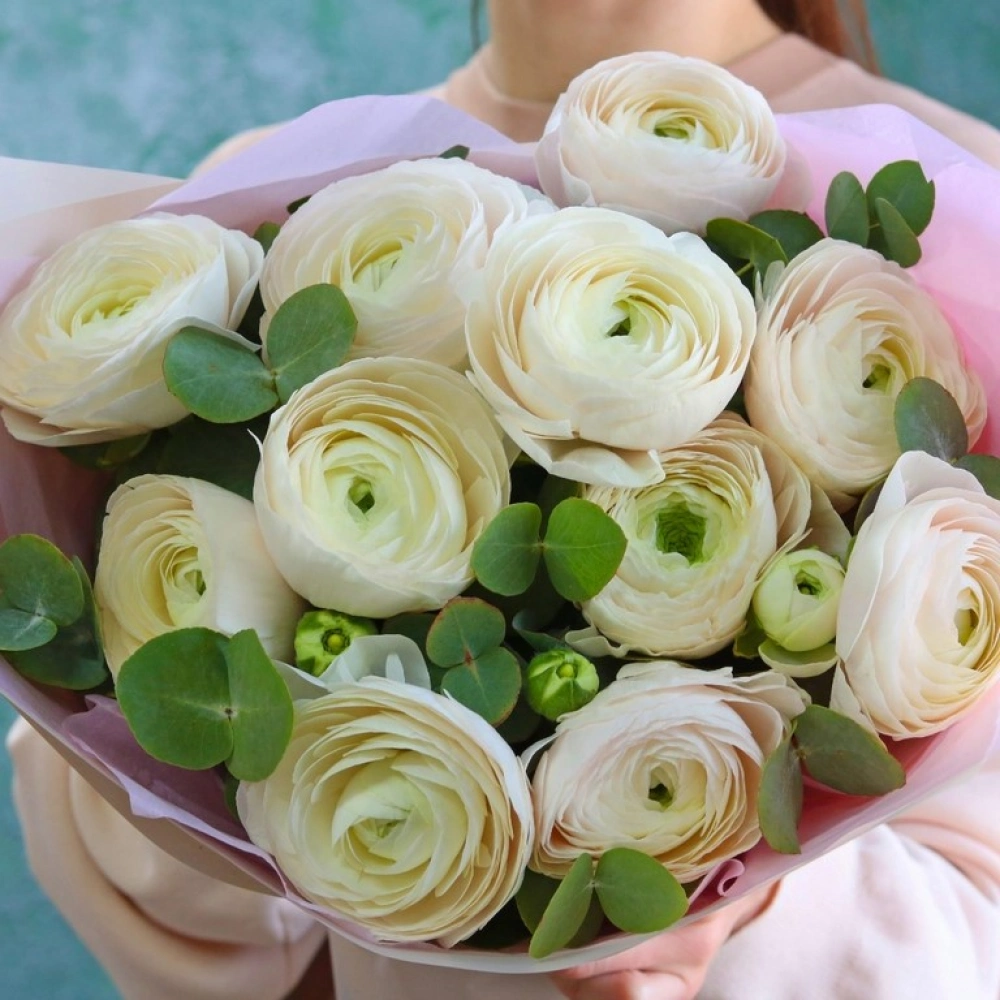 11 ранункулюсов