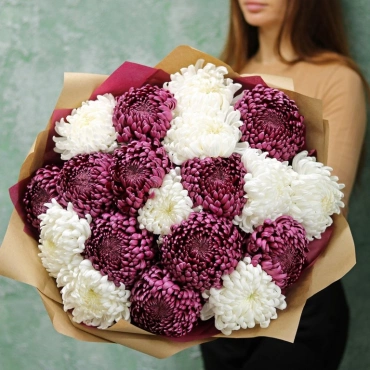 Хризантемы шаровидные белые и фиолетовые