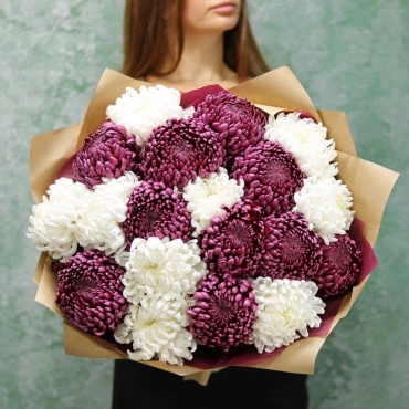 Хризантемы шаровидные белые и фиолетовые