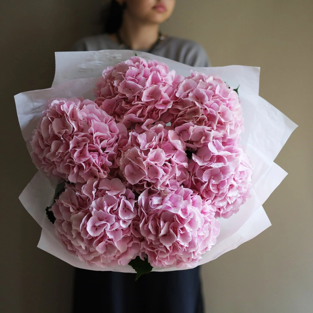 7 гортензий