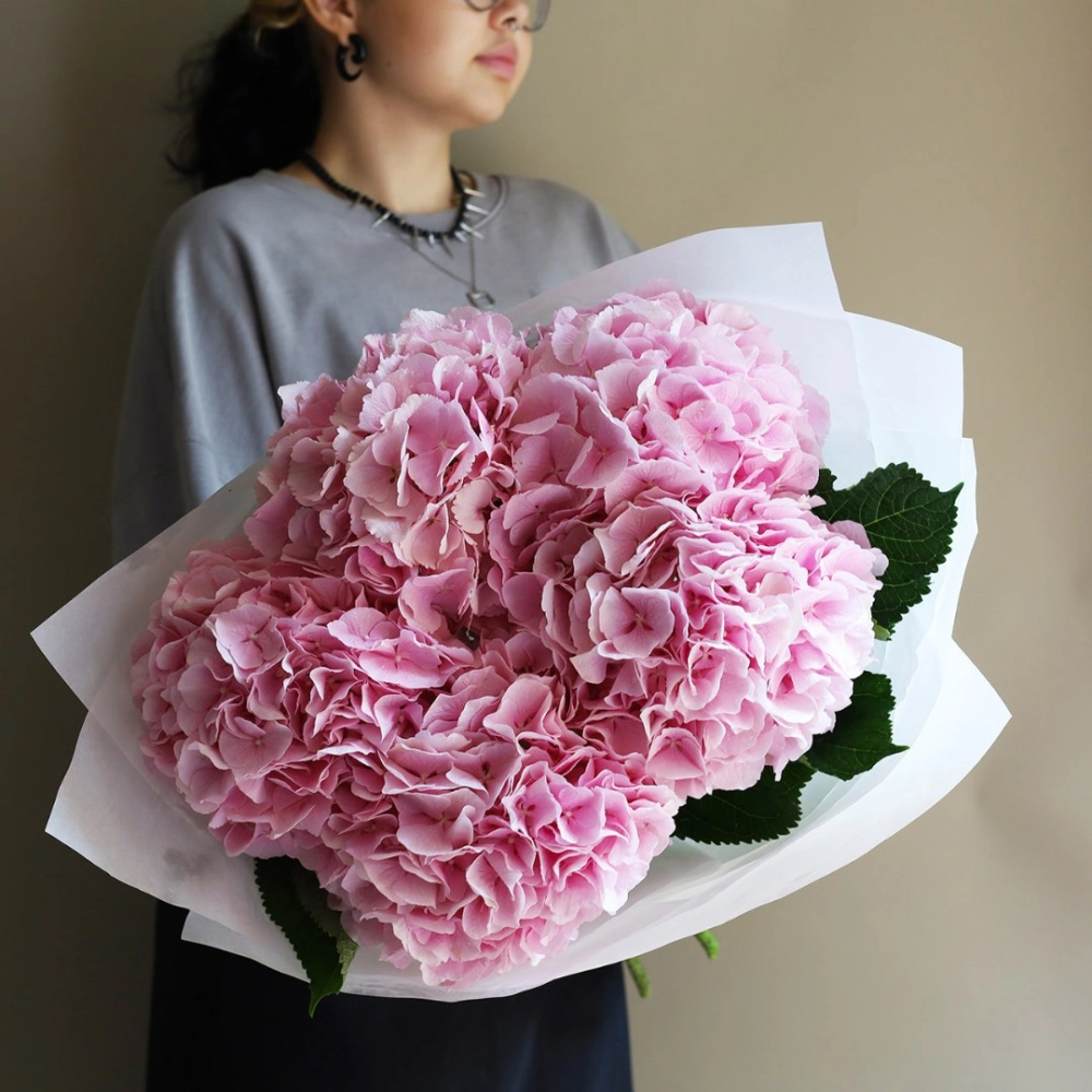 5 гортензий