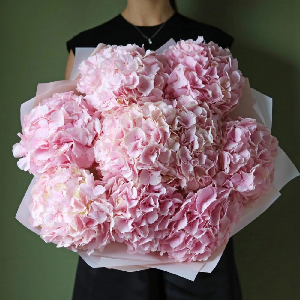 9 гортензий