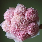 9 гортензий