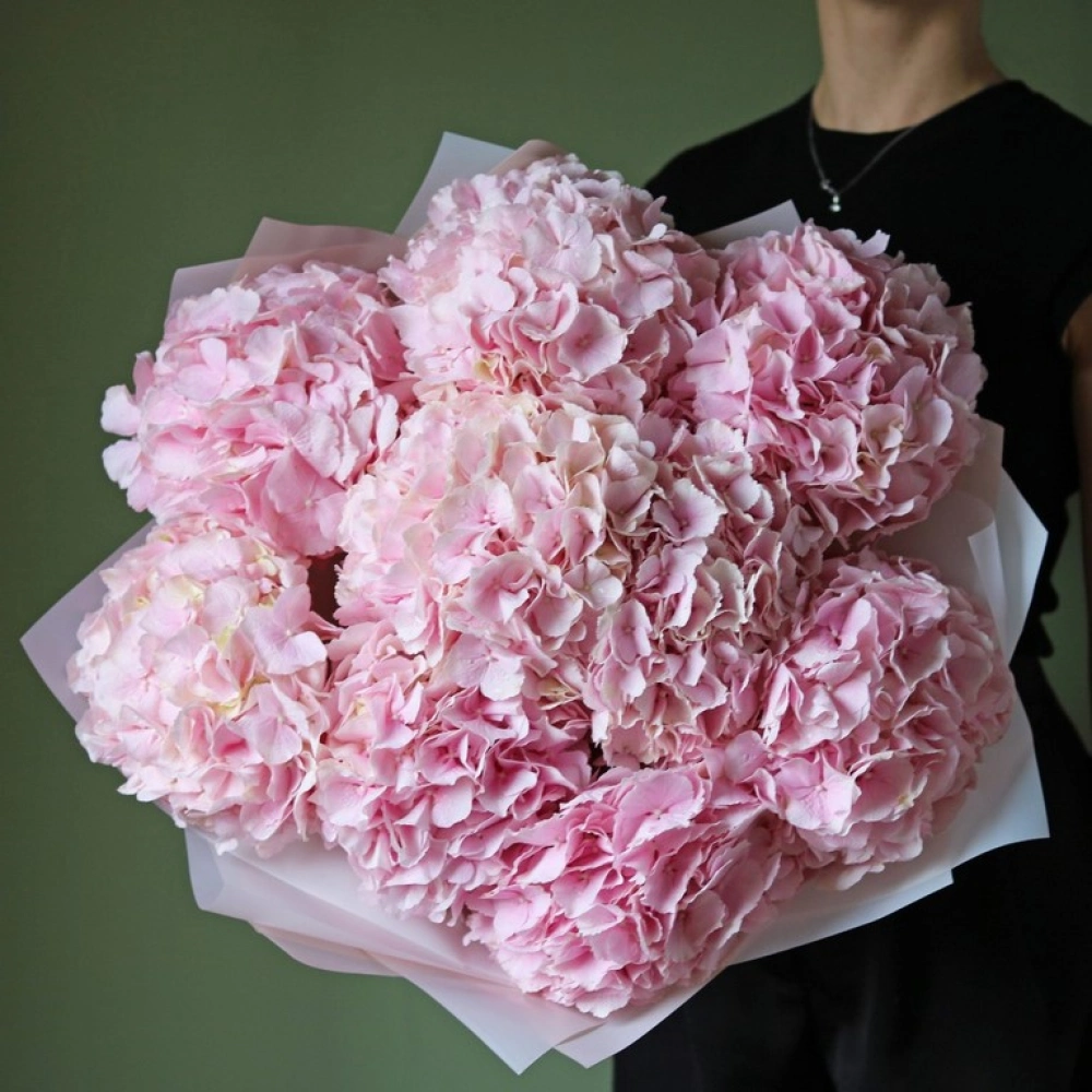 9 гортензий