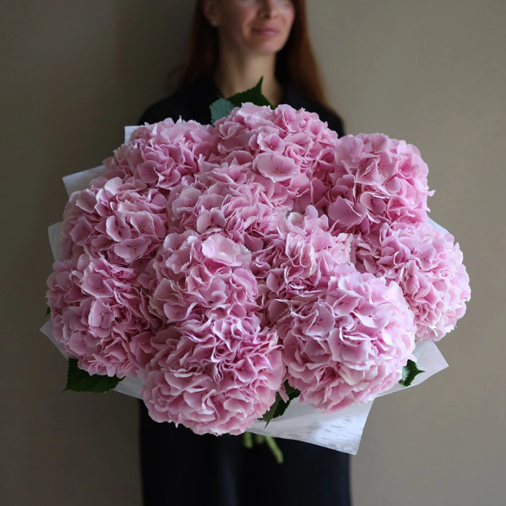 11 гортензий