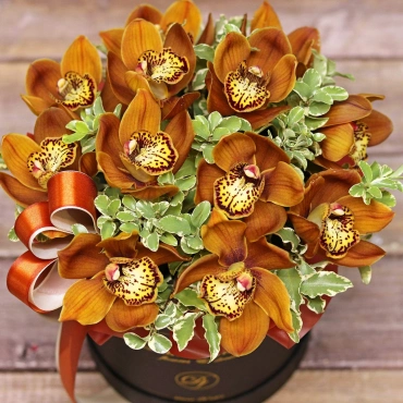 Оранжевая орхидея в коробке