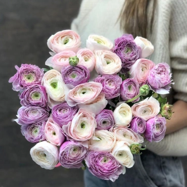 Ранункулюсы микс