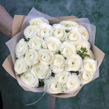 Белые ранункулюсы букет 25 шт.