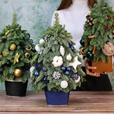 Новогодняя ёлочка "25"