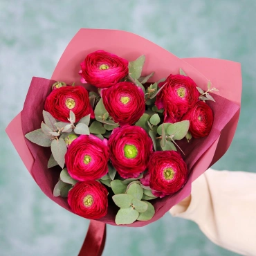 Малиновый ранункулюс