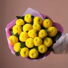 19 хризантем