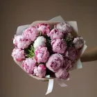 17 пионов