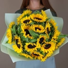 19 подсолнухов