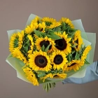 19 подсолнухов