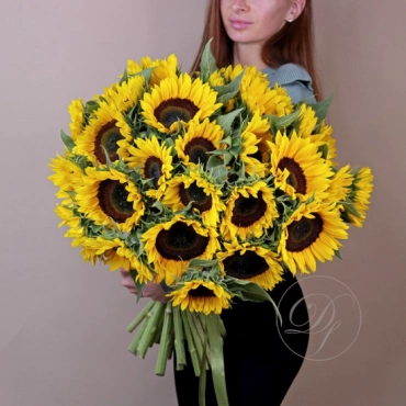 Подсолнухи в ассортименте