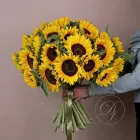29 подсолнухов
