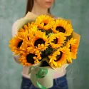 9 подсолнухов