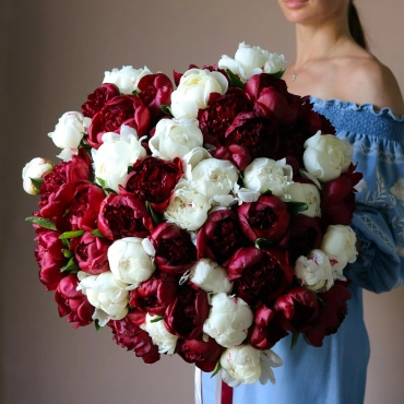 Белые и красные пионы букет