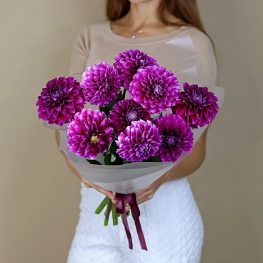 Фиолетовые георгины букет