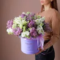 15 веток сирени