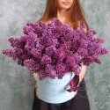 19 веток сирени