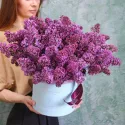 19 веток сирени