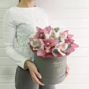 15 цветов орхидеи