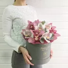 15 цветов орхидеи