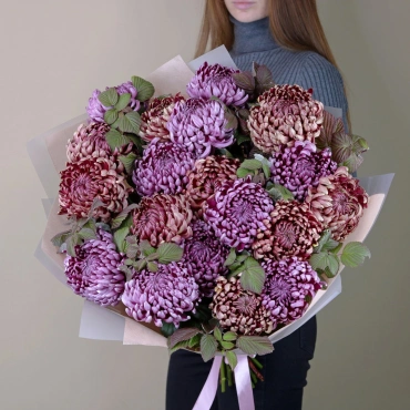 Букет из шаровидной хризантемы Фиолетовый Марс