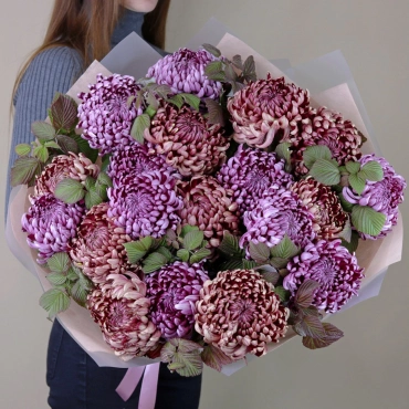 Букет из шаровидной хризантемы Фиолетовый Марс
