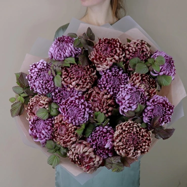 Букет из шаровидной хризантемы Фиолетовый Марс