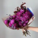 15 астр
