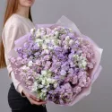 19 маттиол