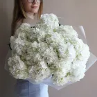 15 гортензий