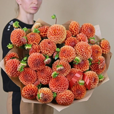 Сортовые георгины