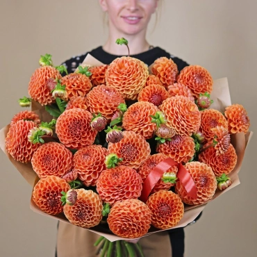 Сортовые георгины