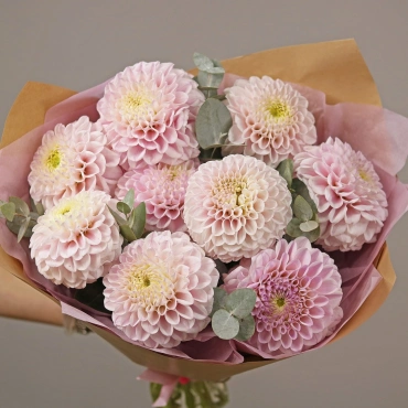 Нежные георгины с эвкалиптом