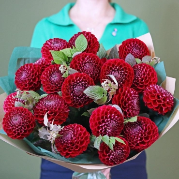 Красные георгины