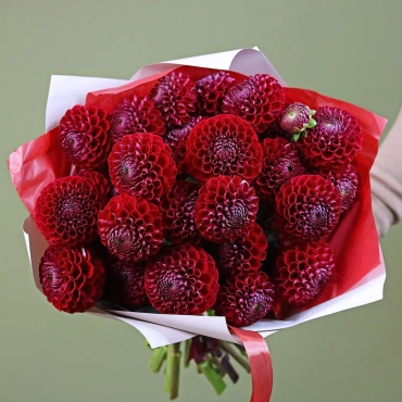 Букет красных георгин