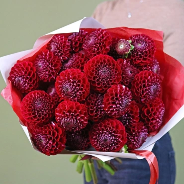 Букет красных георгин