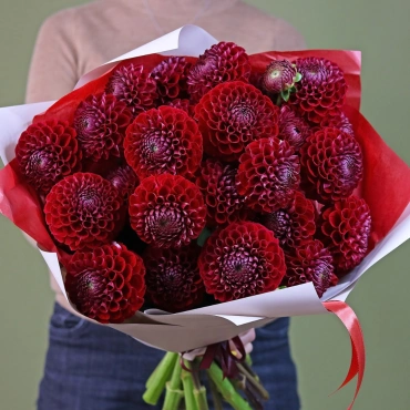 Букет красных георгин