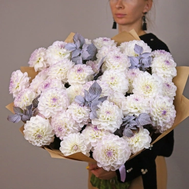 Большой букет белых георгинов